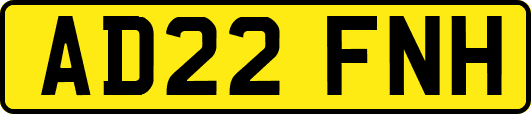 AD22FNH