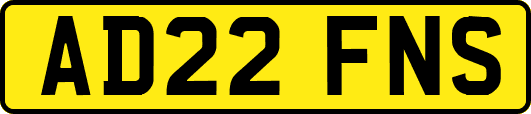 AD22FNS
