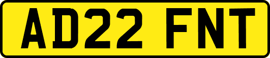 AD22FNT