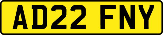 AD22FNY