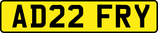 AD22FRY
