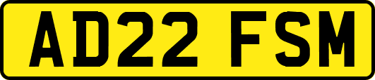 AD22FSM