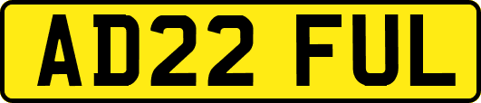 AD22FUL