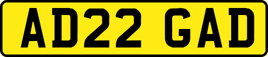 AD22GAD
