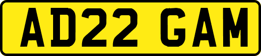AD22GAM