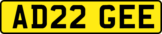 AD22GEE