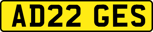 AD22GES