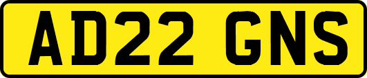AD22GNS