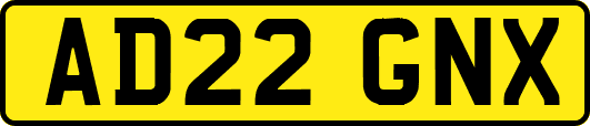 AD22GNX