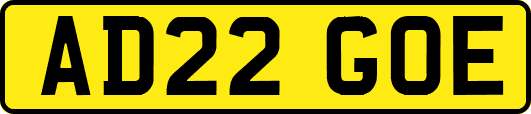 AD22GOE