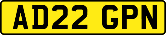 AD22GPN