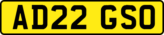 AD22GSO
