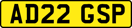AD22GSP