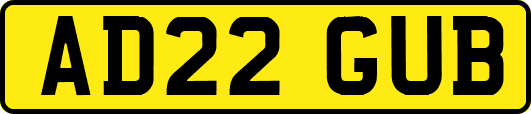AD22GUB