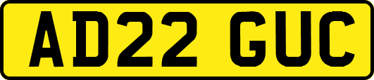 AD22GUC