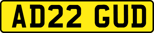 AD22GUD