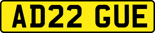 AD22GUE