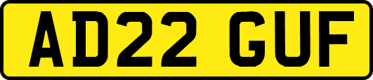 AD22GUF