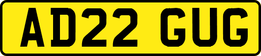 AD22GUG