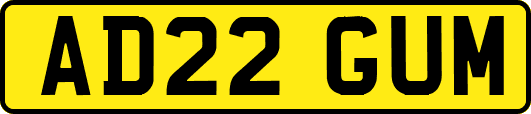 AD22GUM