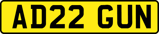 AD22GUN