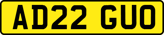 AD22GUO