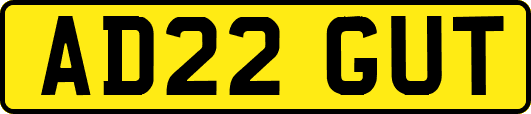 AD22GUT