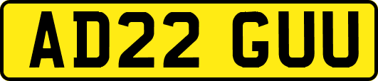 AD22GUU