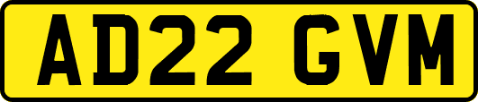 AD22GVM