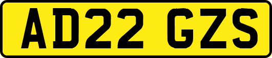 AD22GZS
