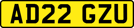 AD22GZU