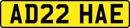 AD22HAE