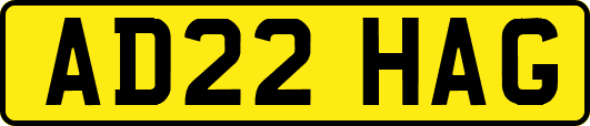 AD22HAG