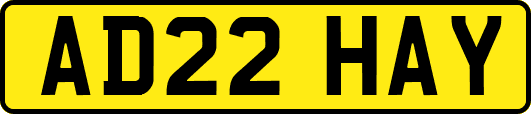 AD22HAY