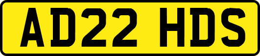 AD22HDS