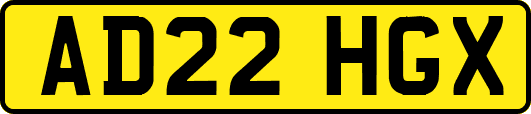 AD22HGX
