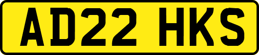 AD22HKS