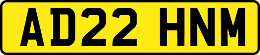 AD22HNM