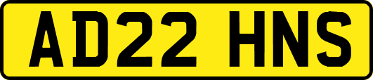 AD22HNS