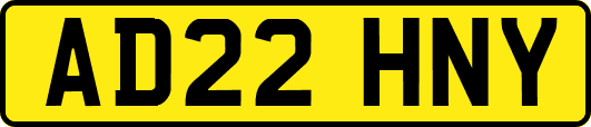 AD22HNY