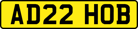 AD22HOB