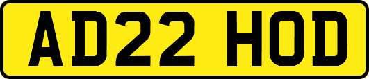 AD22HOD