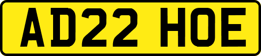 AD22HOE