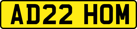AD22HOM