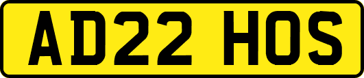 AD22HOS
