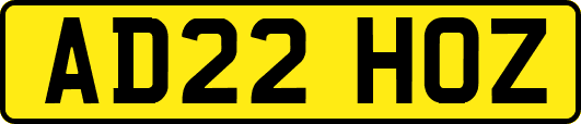 AD22HOZ