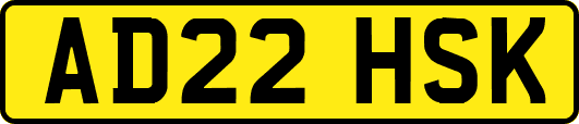 AD22HSK