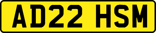 AD22HSM