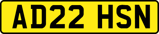 AD22HSN