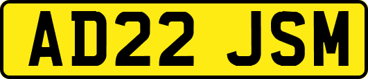 AD22JSM